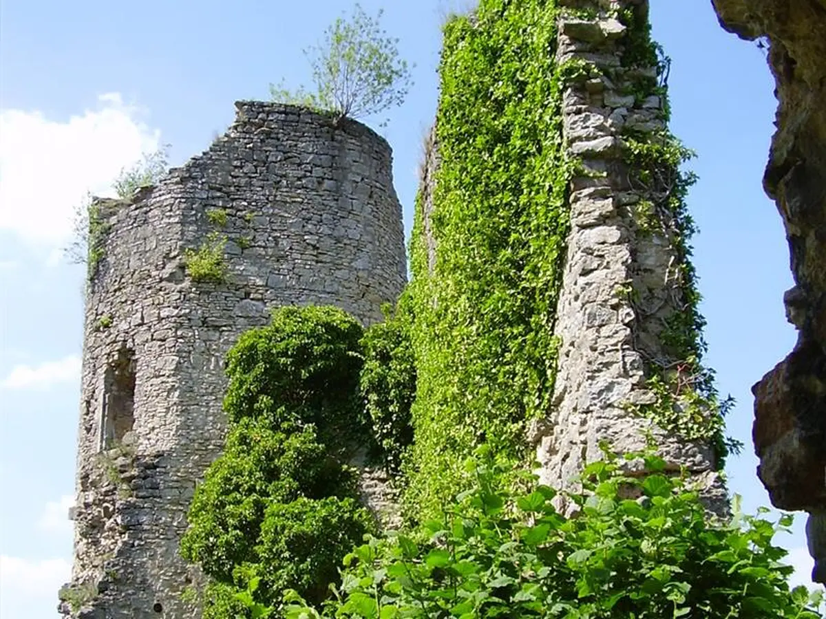 Les Rendez-vous Nature - Nature remarquable sur les pas des Comtes