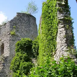 Les Rendez-vous Nature - Nature remarquable sur les pas des Comtes