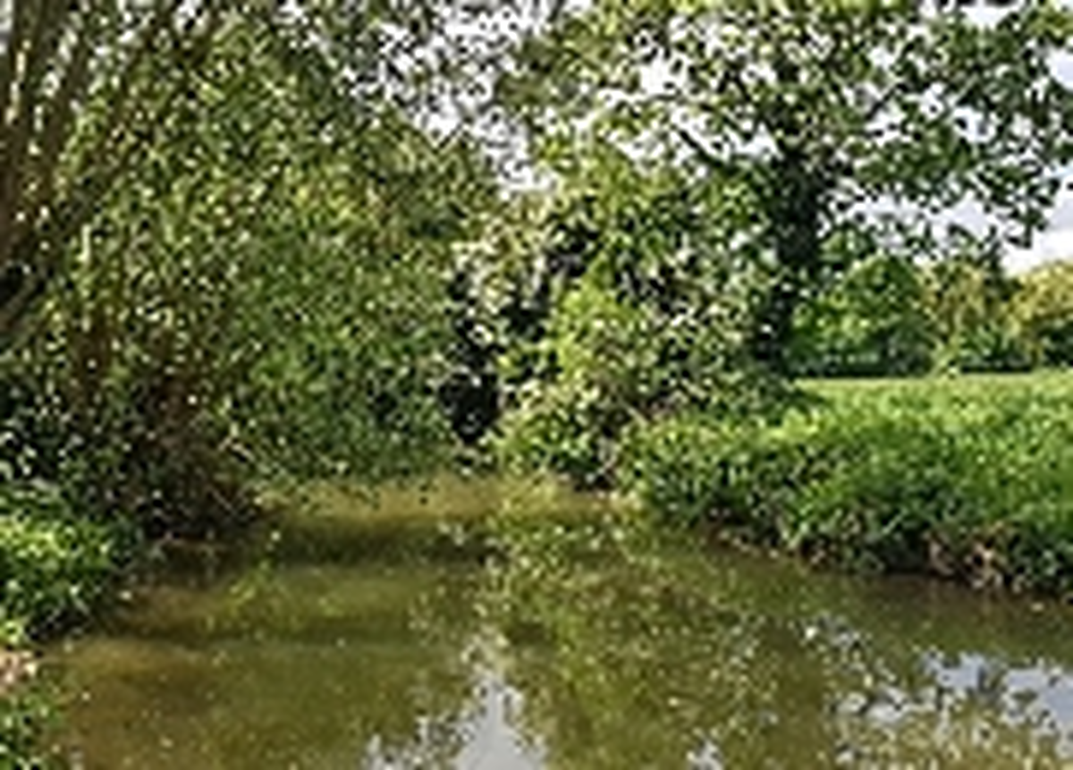 Les Rendez-Vous Nature - Qu'est il SENSÉE vivre ici?