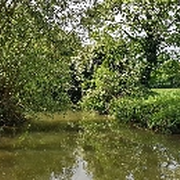 Les Rendez-Vous Nature - Qu'est il SENSÉE vivre ici?