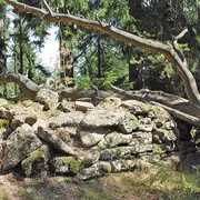 Les rochers magiques du Taennchel