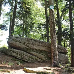 Les rochers magiques du Taennchel