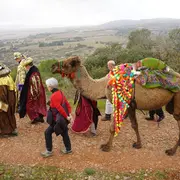 Les Rois Sages En Gardiole