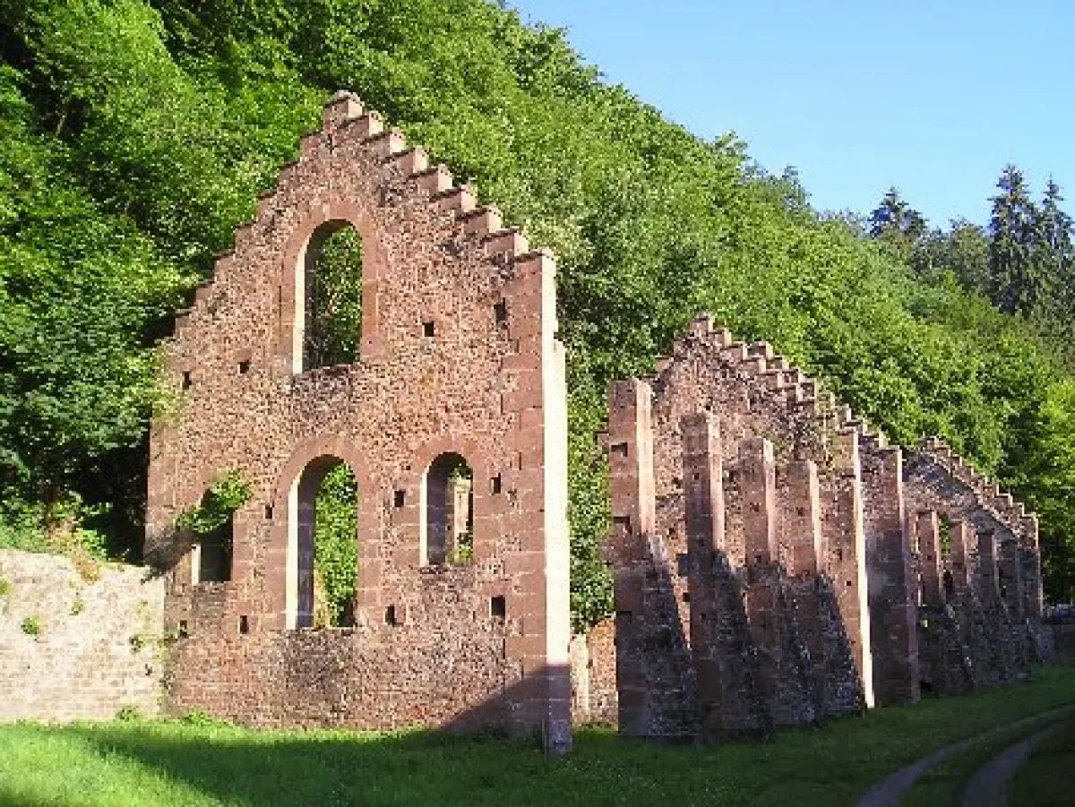 Les ruines de la forge des De Dietrich témoigne de l'origine de la puissante famille