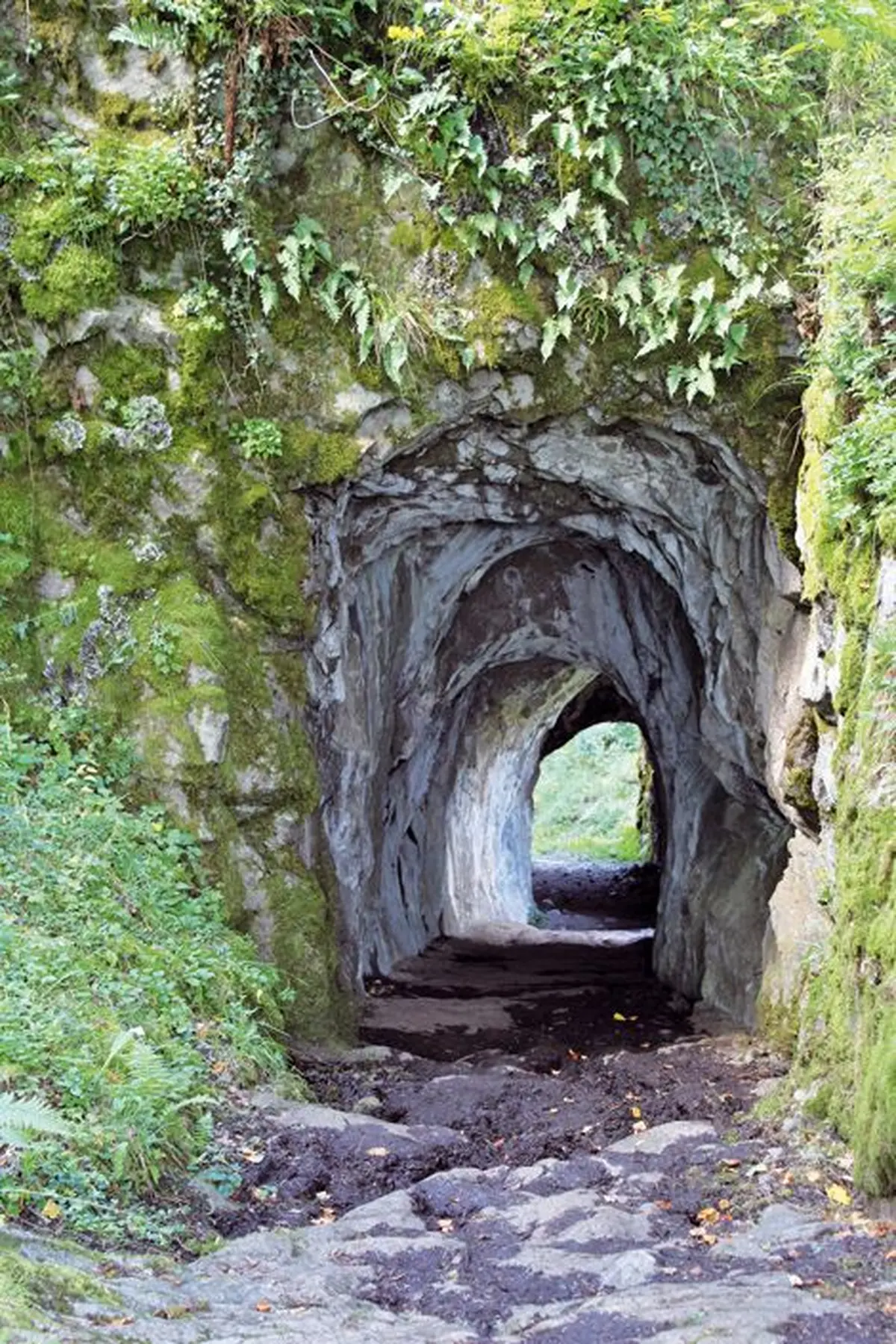 Les ruines de Wildenstein