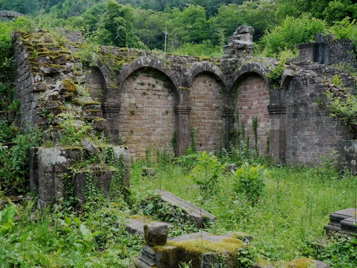 Les ruines désolées de l'abbaye de Niedermunster