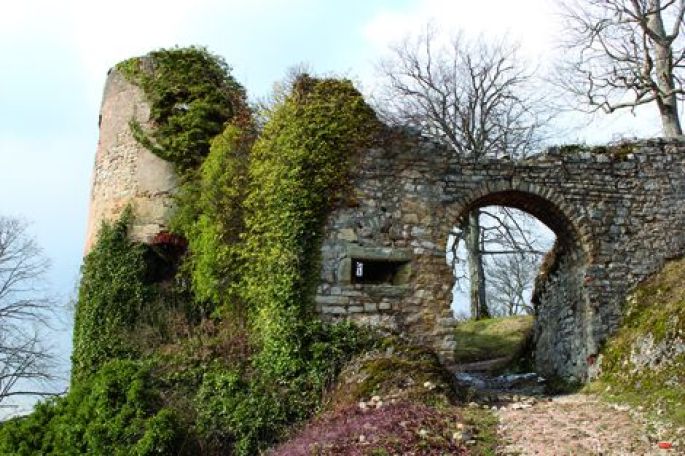 Les ruines du château de Ferrette