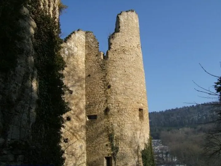 Les ruines du château de Morimont