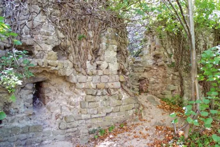 Les ruines du château de Pflixbourg