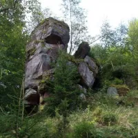 Les ruines du château de Salm sont dispersées dans la forêt environnante &copy; Lybil Ber