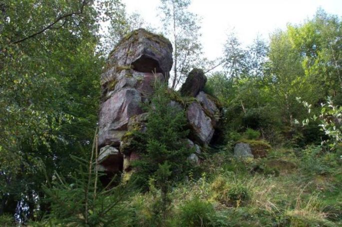 Les ruines du château de Salm sont dispersées dans la forêt environnante
