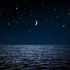 Les Saintes-Maries sous les Etoiles