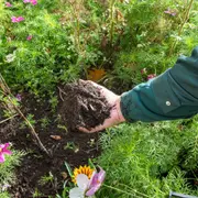 Les samedis du compostage à la maison du jardinage et du compostage
