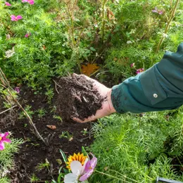 Les samedis du compostage à la maison du jardinage et du compostage