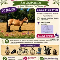 Les Sapinnettes