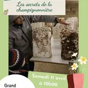 Les secrets de la champignonnière