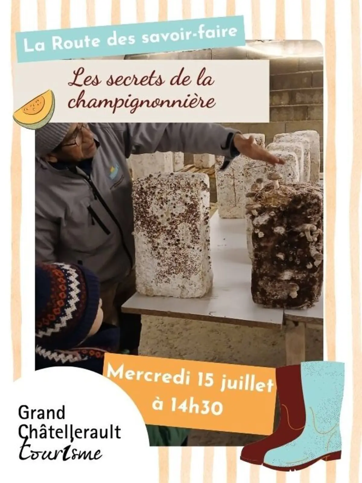 Les secrets de la champignonnière