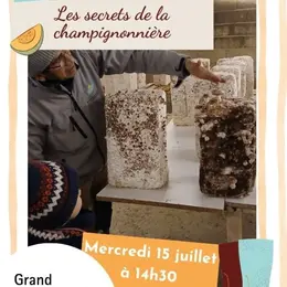 Les secrets de la champignonnière