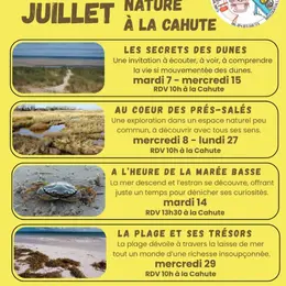 Les secrets des dunes