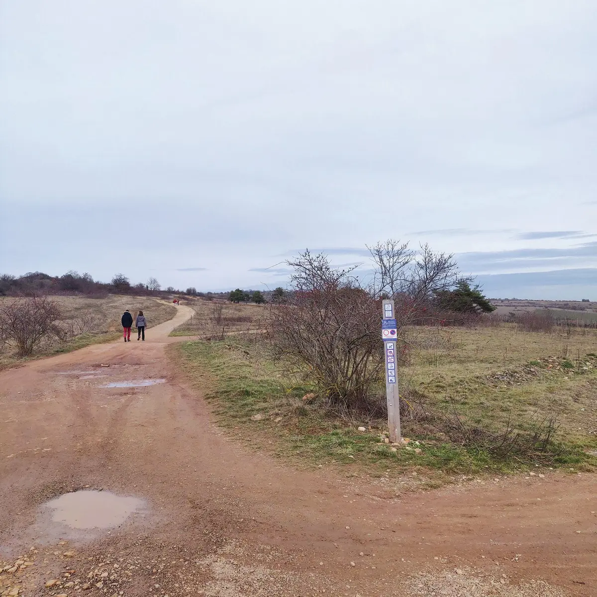 Le circuit pédestre sur la colline du Bollenberg