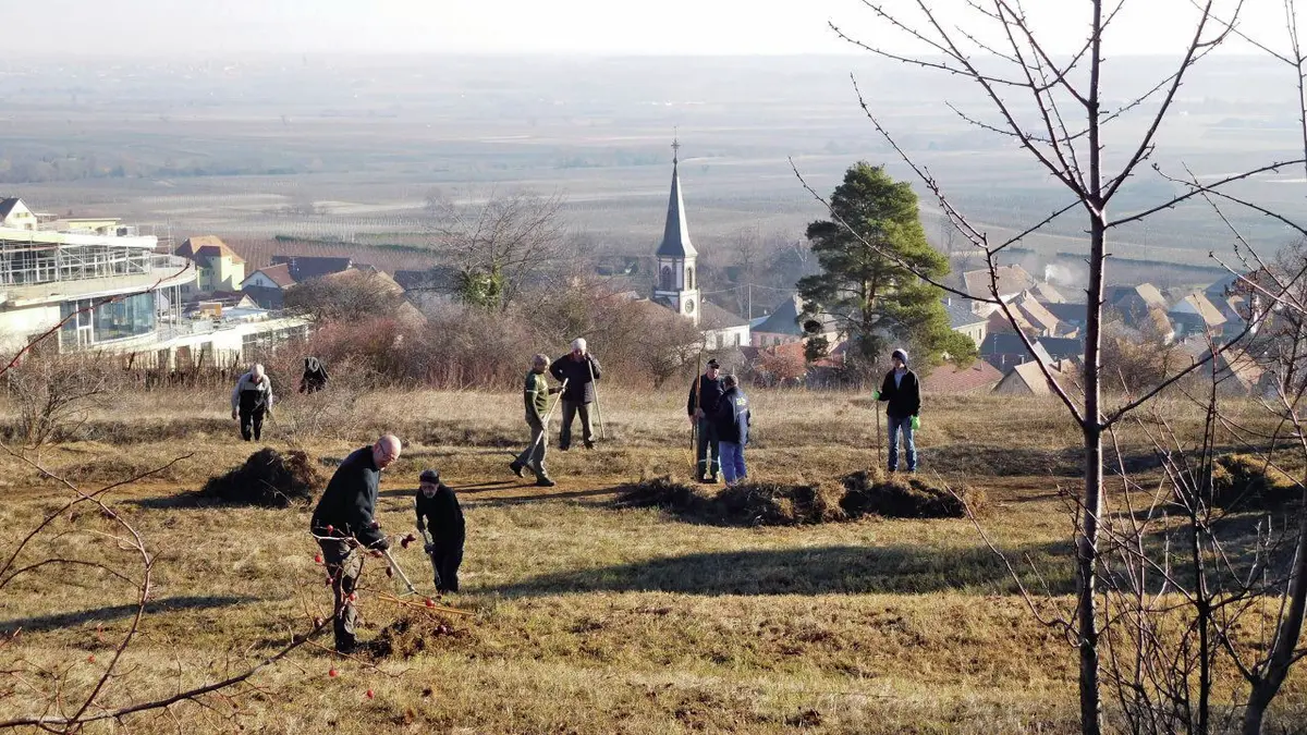 Les secrets du Bollenberg