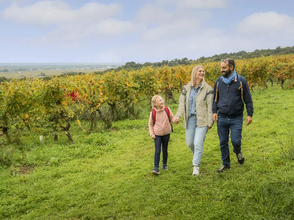 Les secrets du vignoble - Balade commentée dans les vignes suivi d'une dégustation