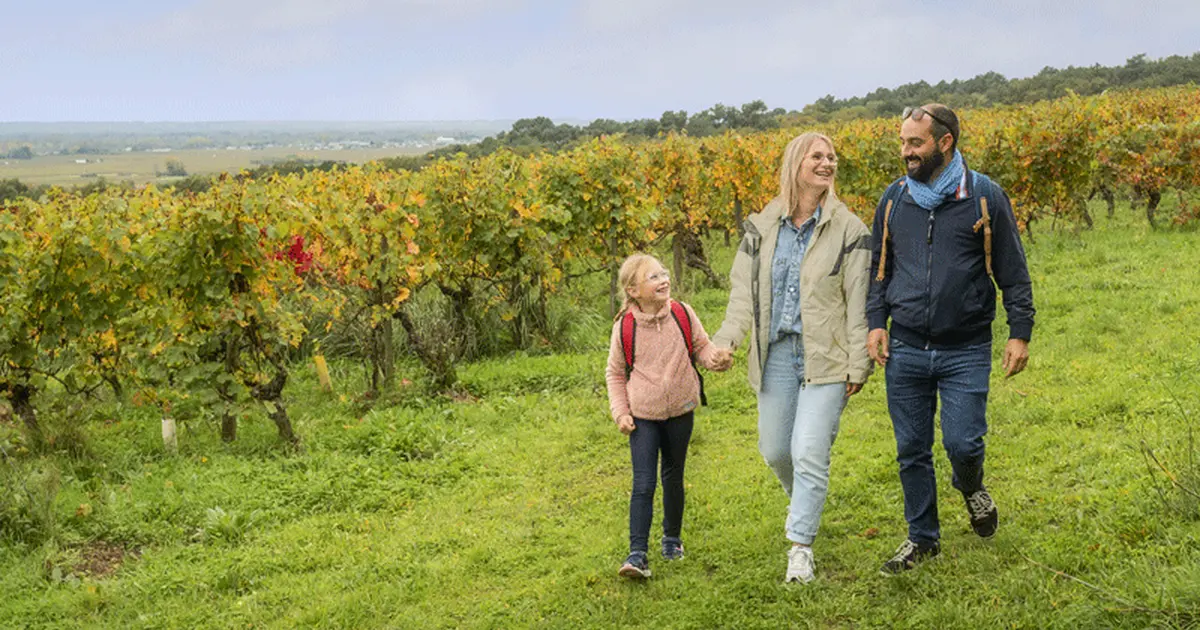 Les secrets du vignoble - Balade commentée dans les vignes suivi d'une dégustation