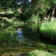 Les sens en éveil à source de l'Orbiquet.