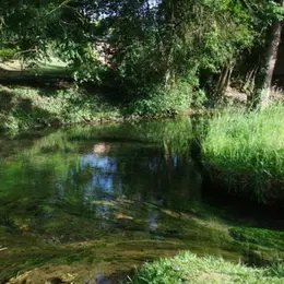 Les sens en éveil à source de l'Orbiquet.
