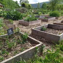 Les sens en éveil au Jardin des Plantes Compagnes - Les Rendez-vous au jardin 2026