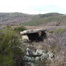 Les Sentiers De Claire : Molitg-Les-Bains Et Le Dolmen Du Pla De L'Arca