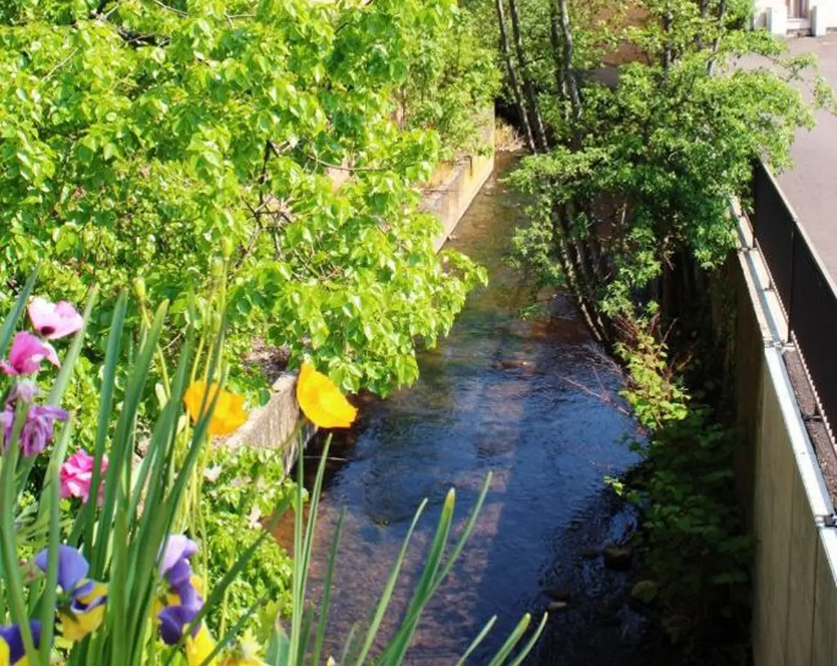 Les sentiers de l'Ehn à Obernai