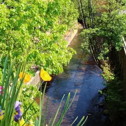 Les meilleurs spots pour aller courir en Alsace