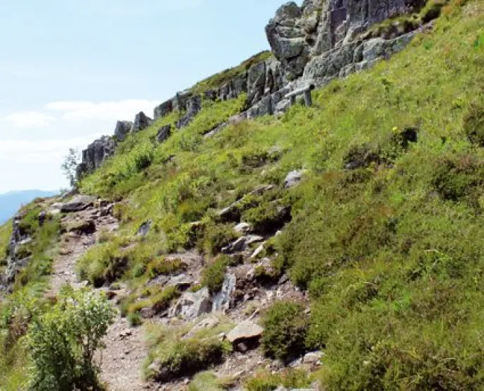 Les sentiers de randonnée alsaciens sur Google Maps, ici un sentier près du Grand Ballon.