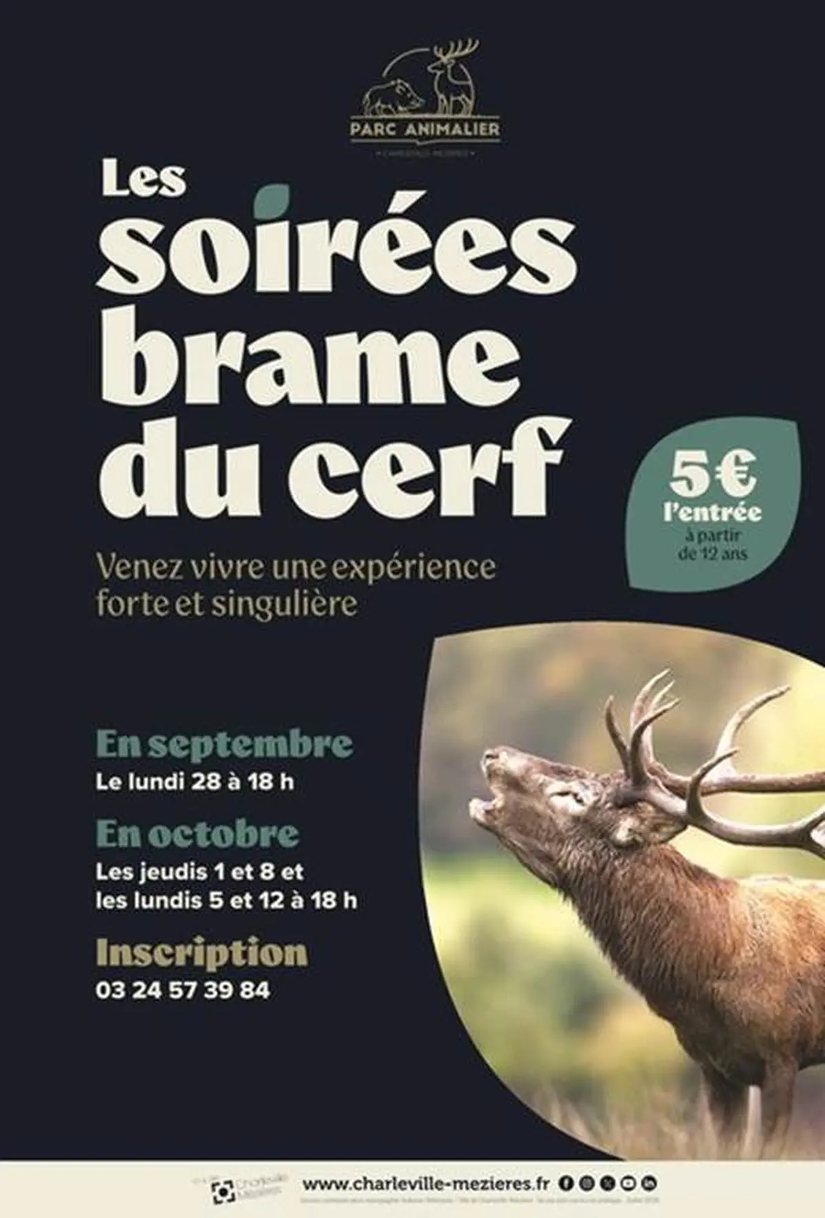 Les soirées brame du cerf