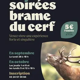 Les soirées brame du cerf