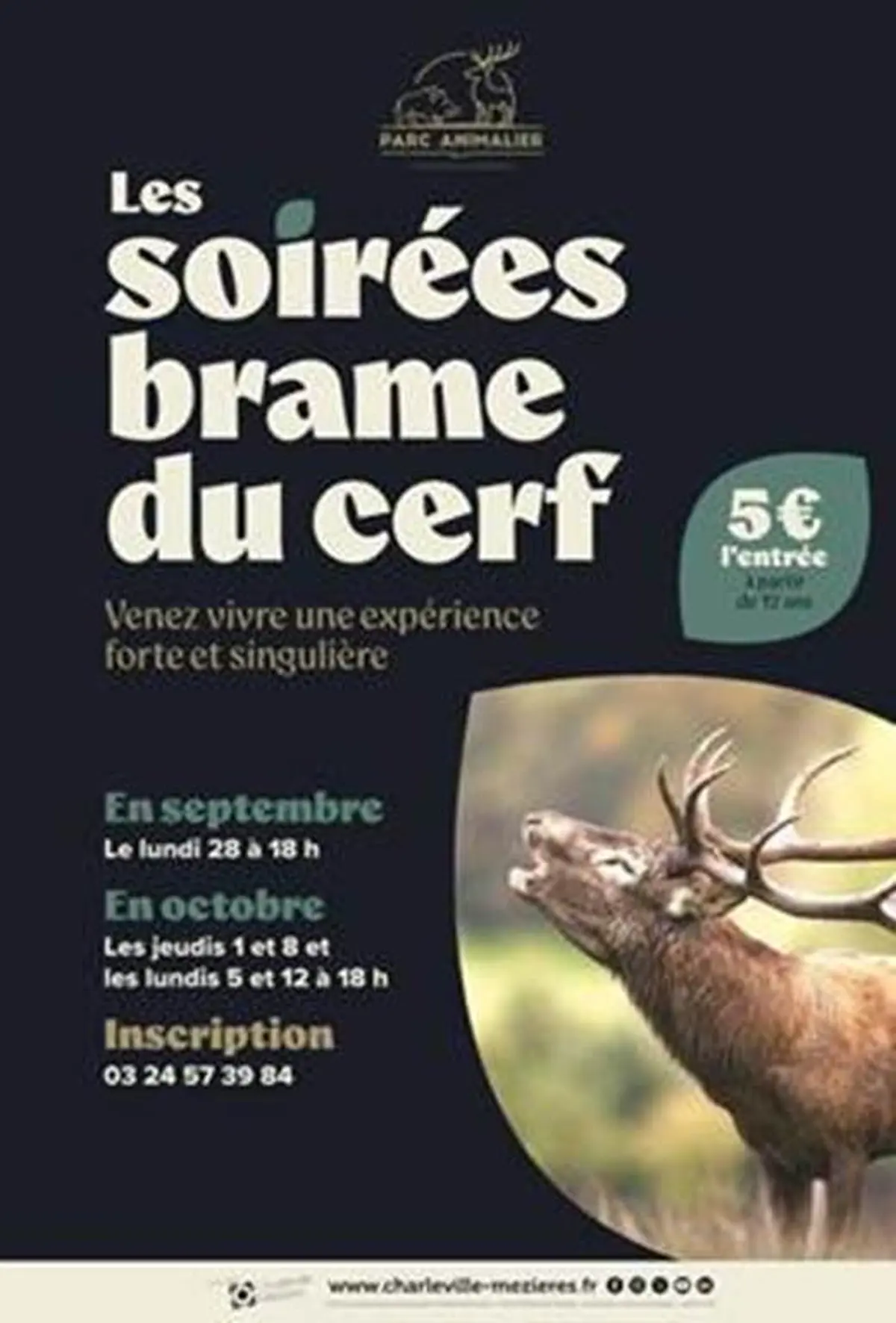 Les soirées brame du cerf