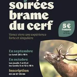 Les soirées brame du cerf
