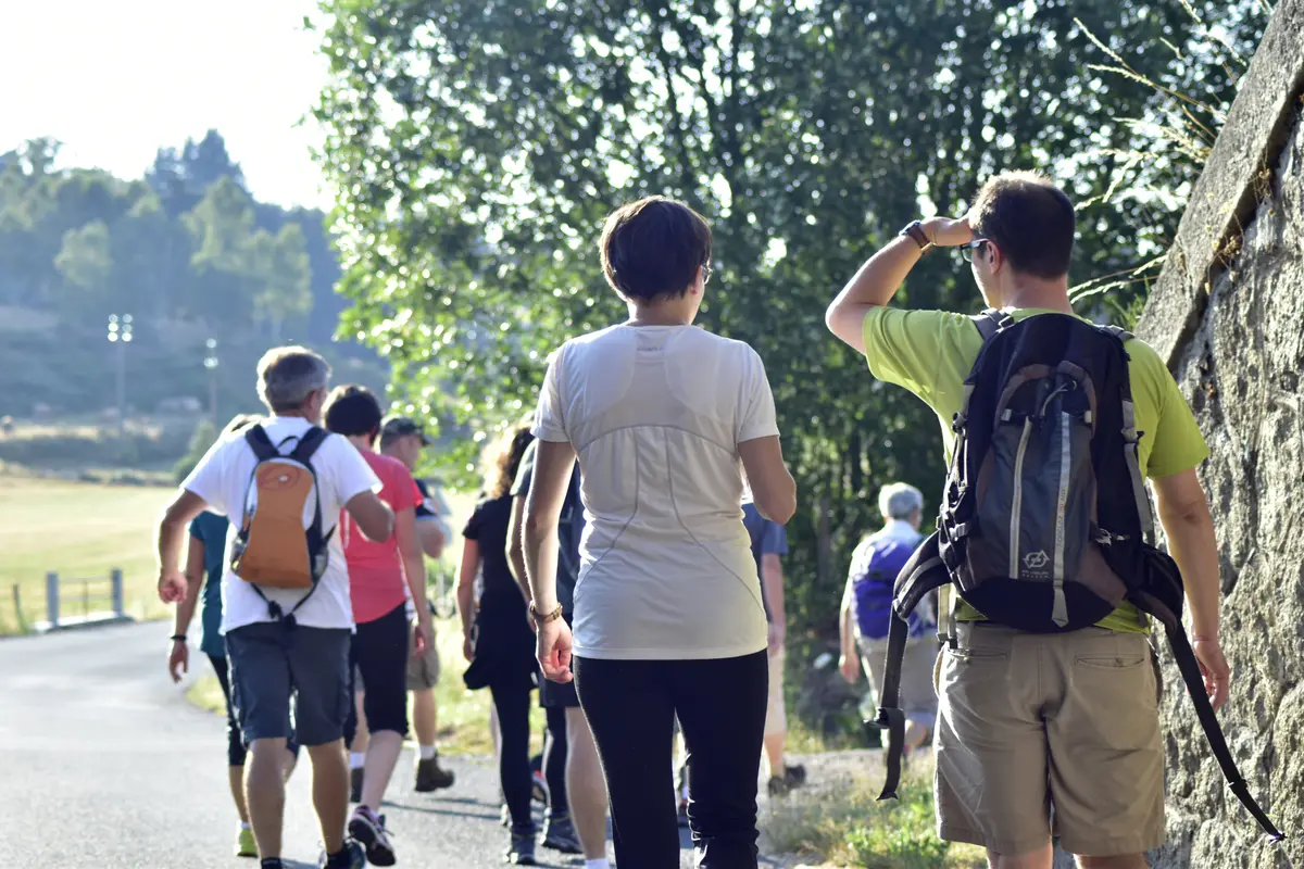 Les Sorties Nature : Balade Gourmande Le Mont Mouchet