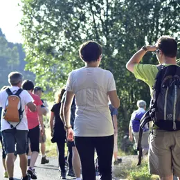 Les Sorties Nature : Balade Gourmande Le Mont Mouchet