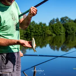 Les Sorties Nature : Mini Stage De Pêche