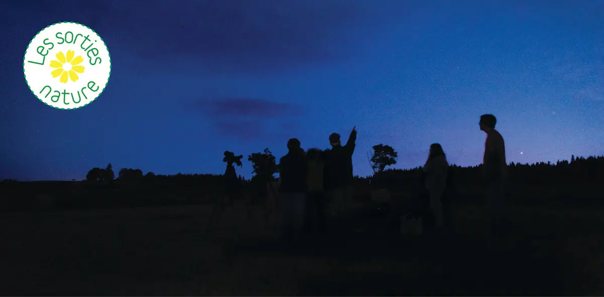 Les Sorties Nature : Observations Nocturnes