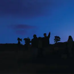 Les Sorties Nature : Observations Nocturnes