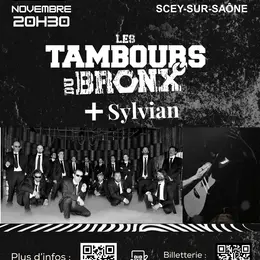 Les Tambours Du Bronx + Sylvian