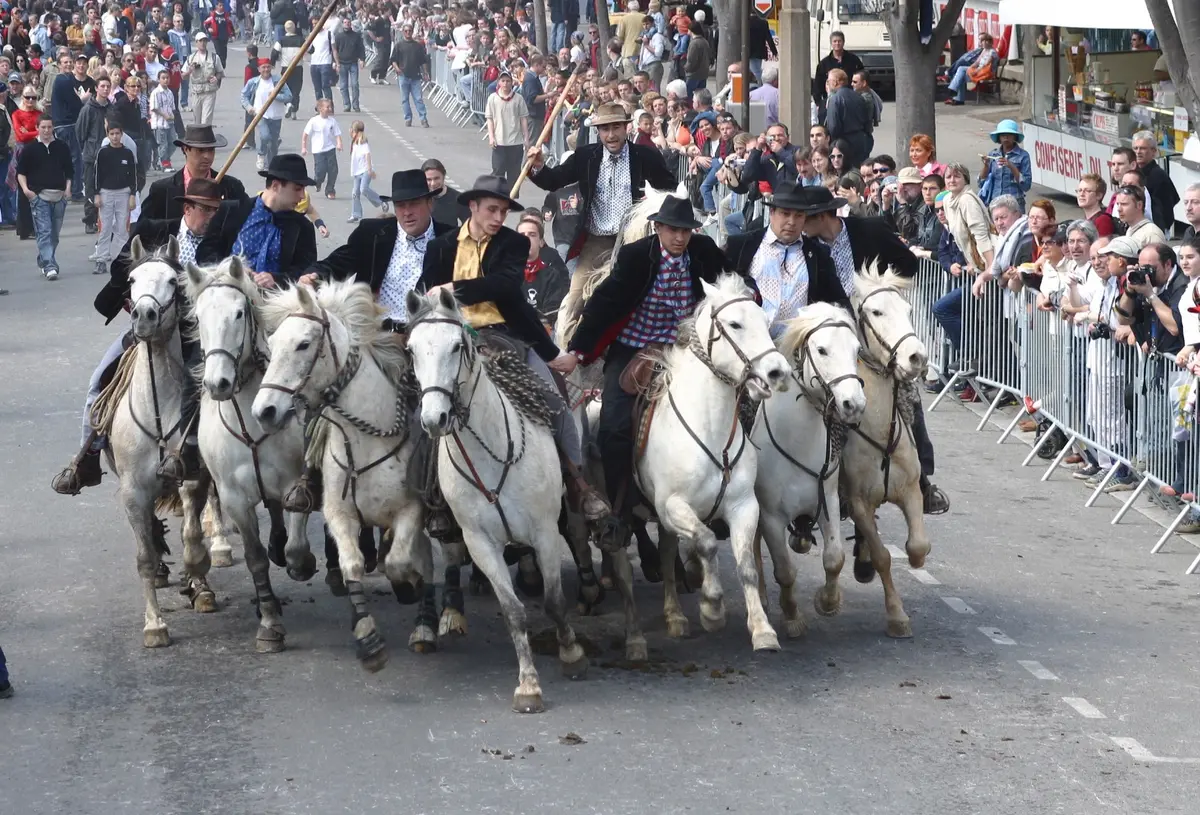 Les taureaux dans les rues - Feria du riz