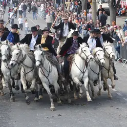 Les taureaux dans les rues - Feria du riz