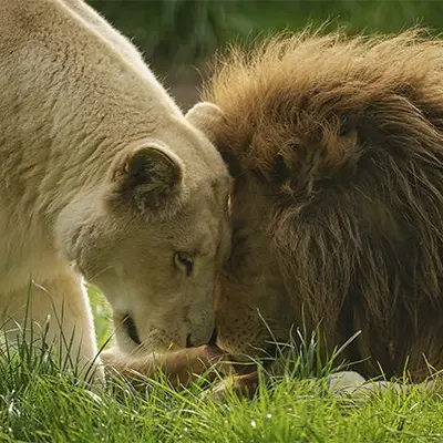 Les Terres de Nataé