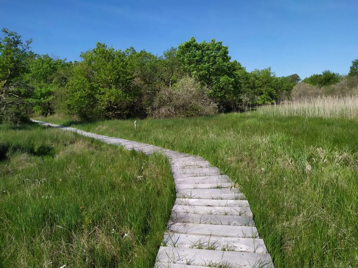 Les Terres de Renard