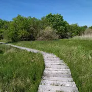 Les Terres de Renard