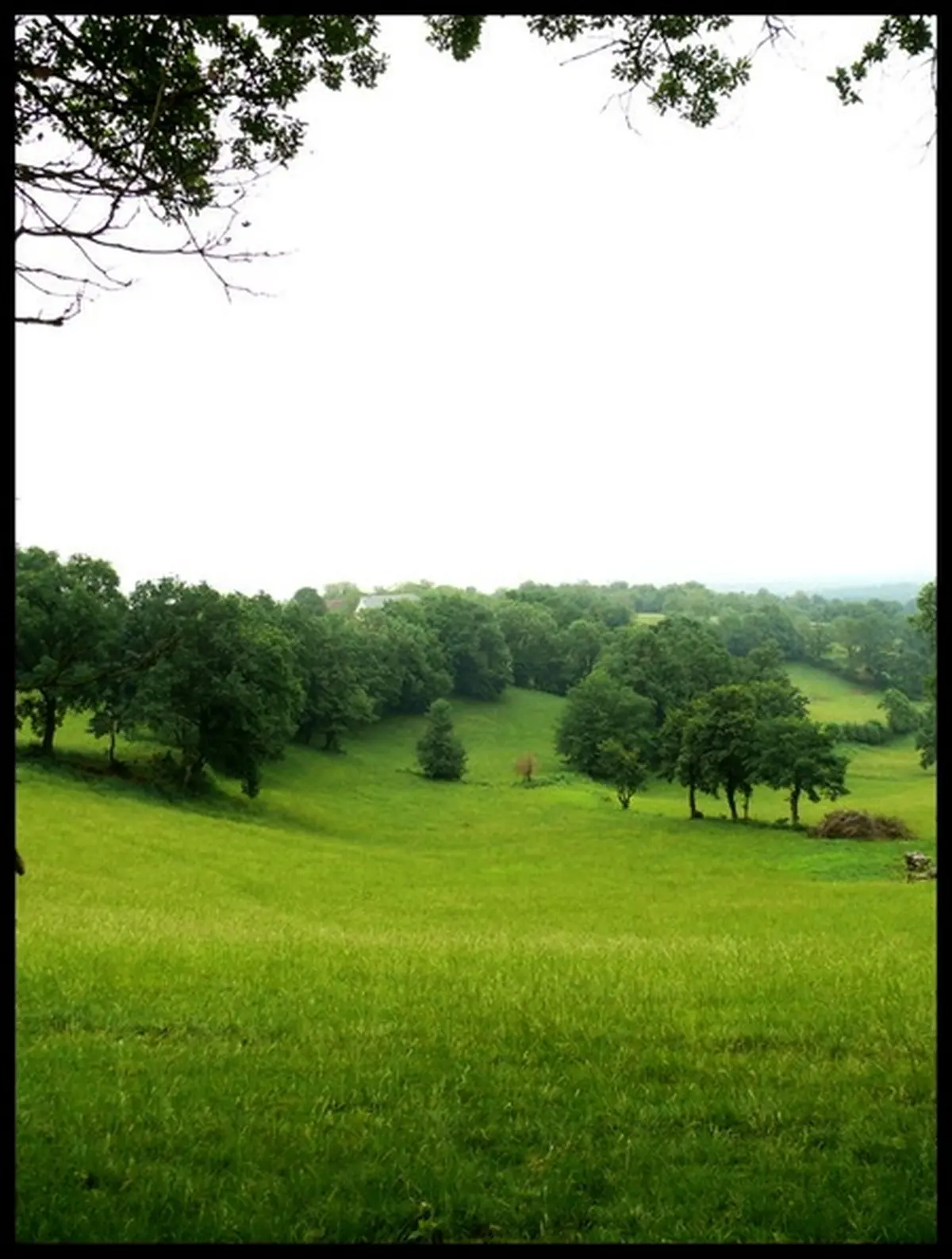 Les terroirs des noyers